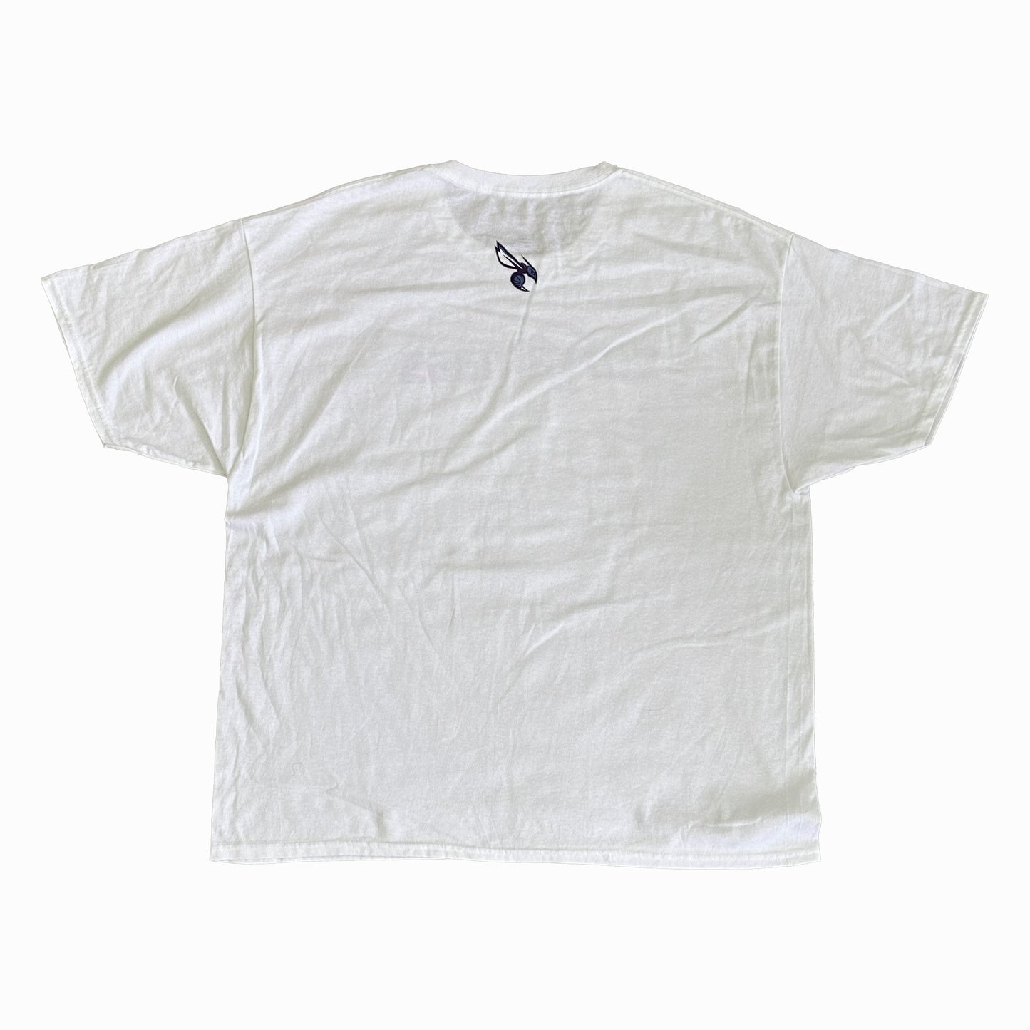 CHARLOTTE HORNETS SWARM 365 (WHITE)