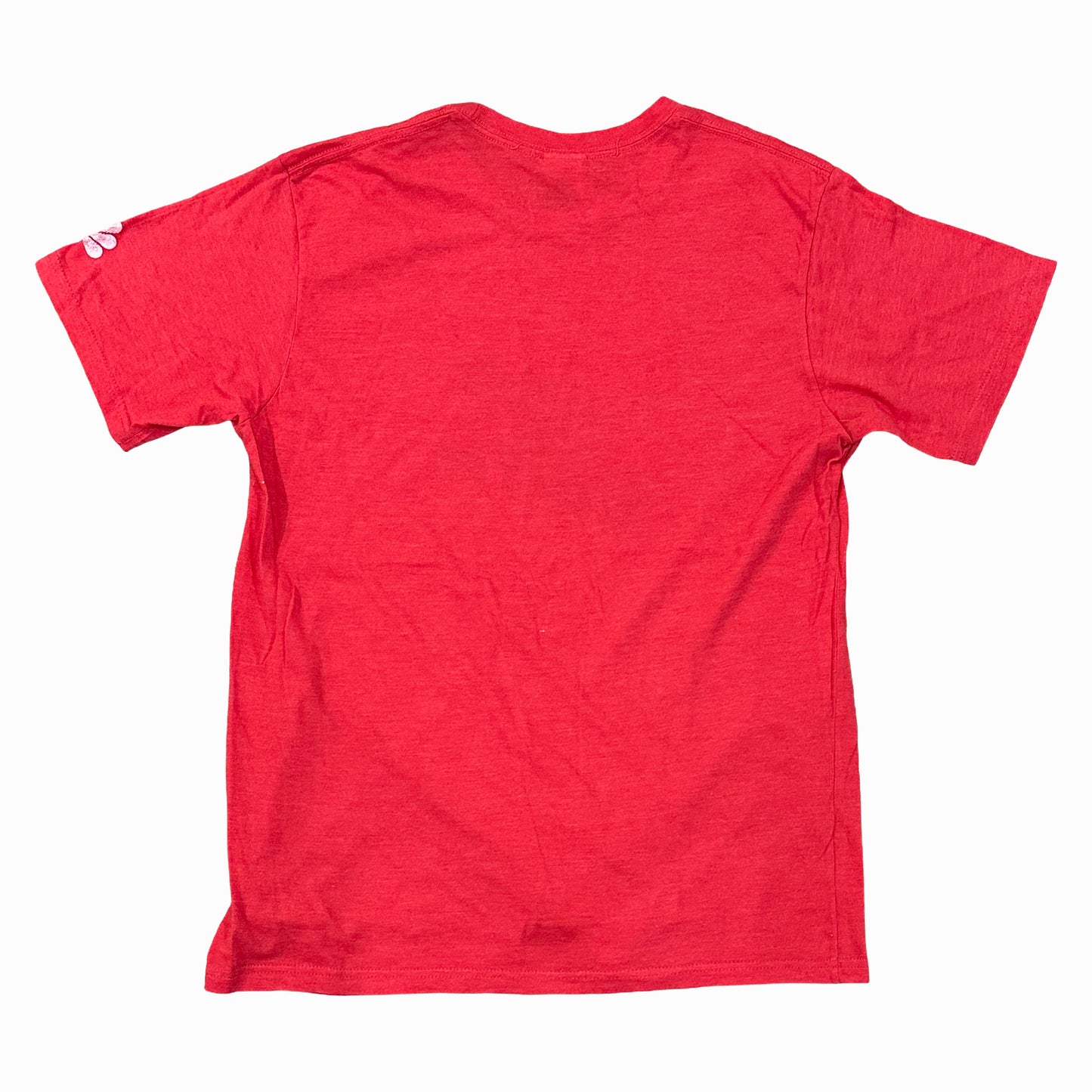 THE VOICE (RED)